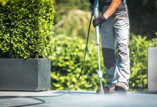 Best Fence Cleaning and Maintenance in Cocoa West, FL