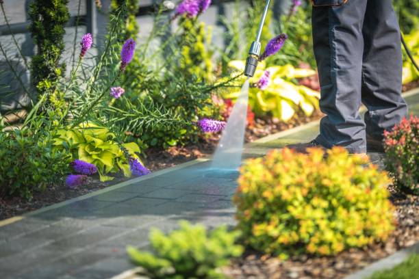 Professional Pressure Washing Services in Cocoa West, FL
